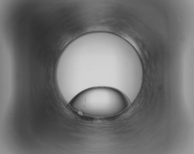 X0000112400109200908141013