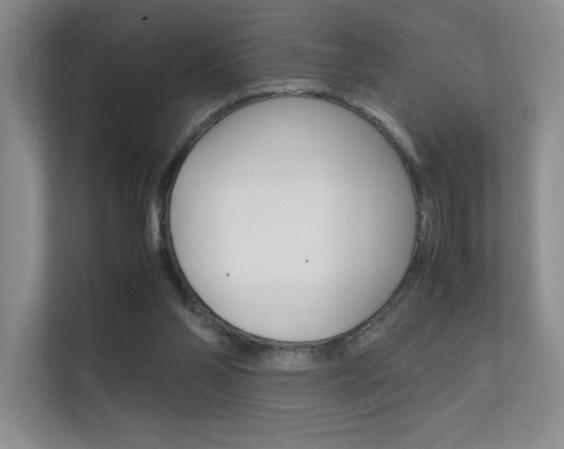 X0000112400110200908141013