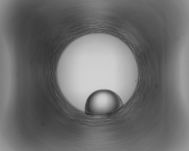 X0000112400129200908141013