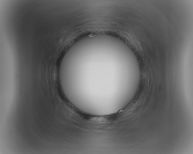 X0000112400133200908141013