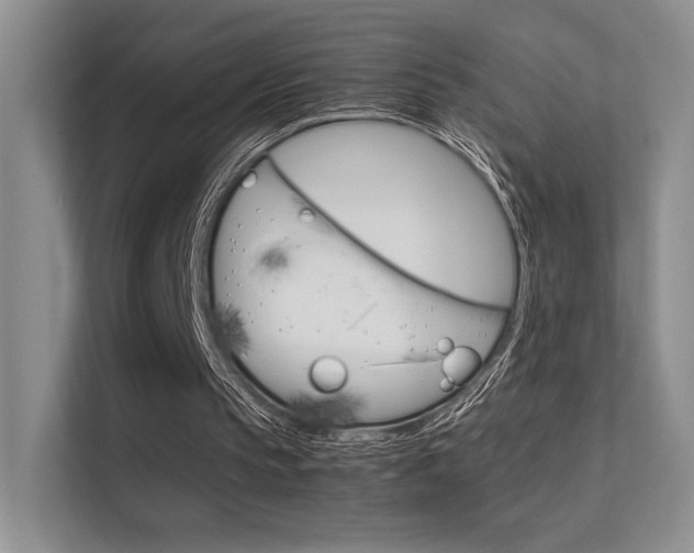 X0000112400145200908141012