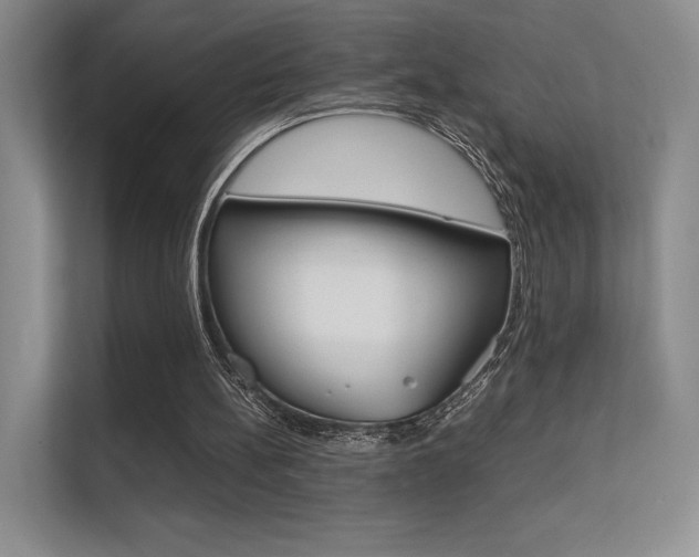 X0000112400148200908141012