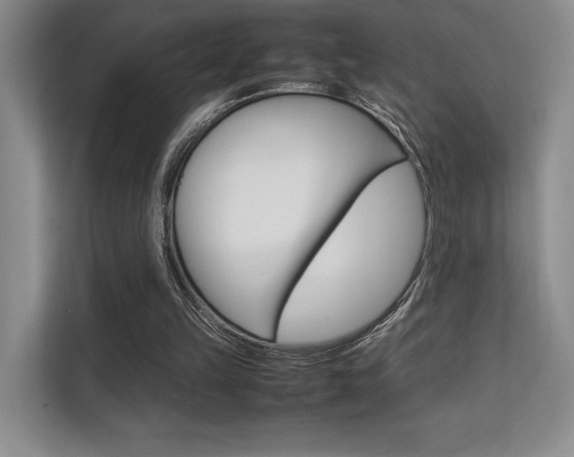 X0000112400149200908141012