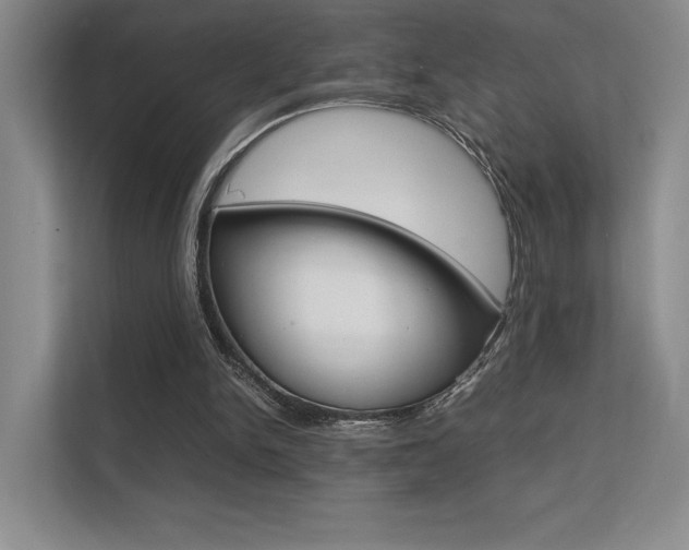 X0000112400150200908141012