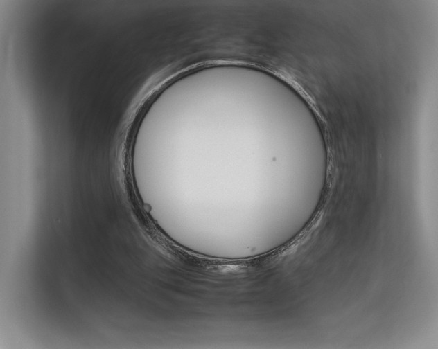 X0000112400151200908141012