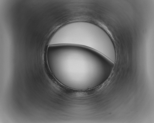 X0000112400154200908141012