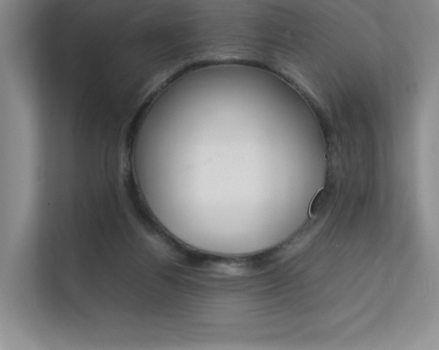 X0000112400164200908141012