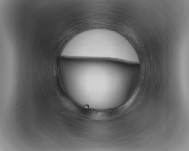 X0000112400174200908141012