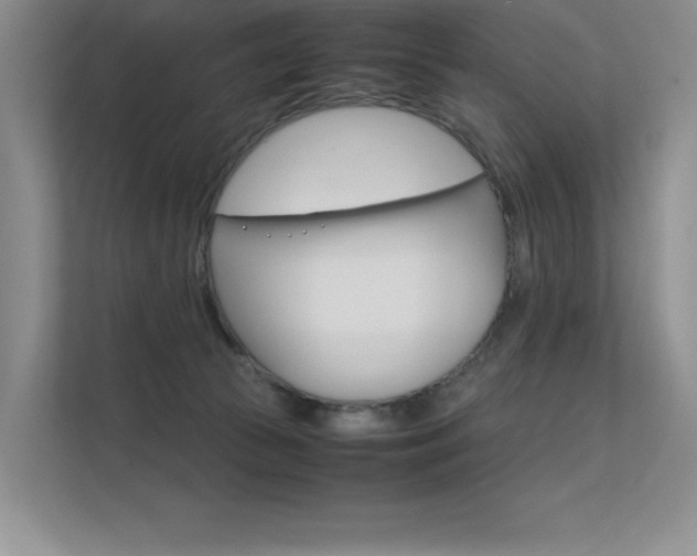 X0000112400177200908141012