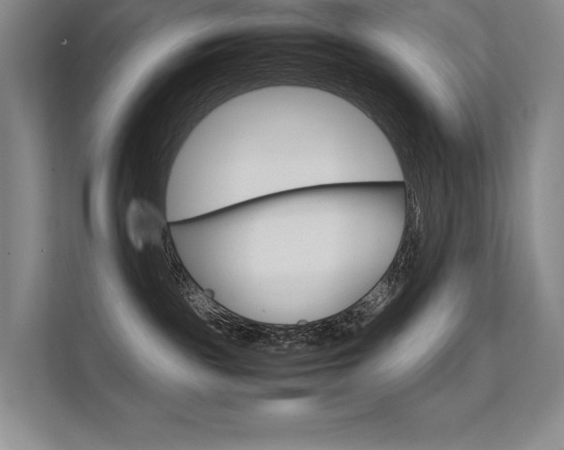 X0000112400189200908141013