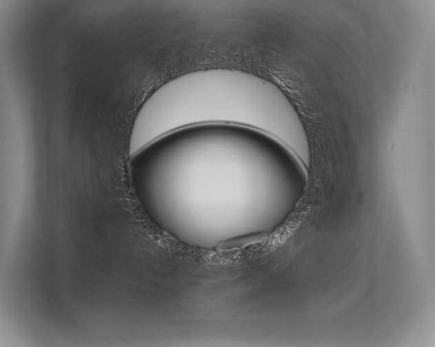 X0000112400192200908141013