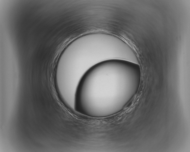X0000112400193200908141012