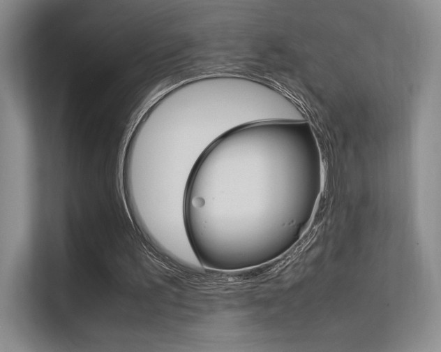 X0000112400195200908141012