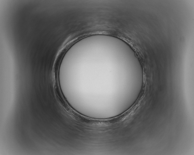 X0000112400198200908141012