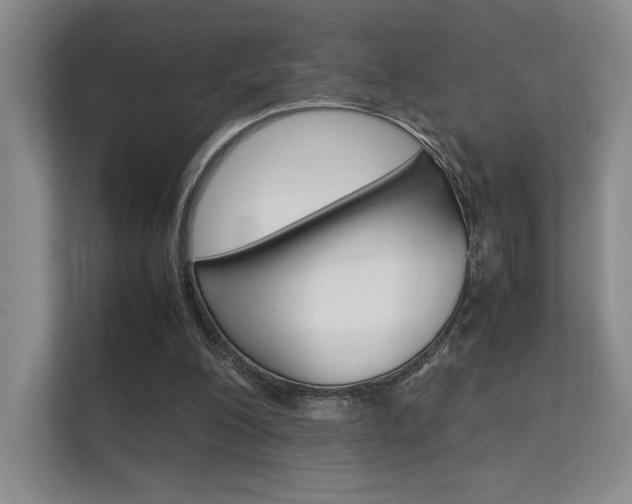 X0000112400200200908141012