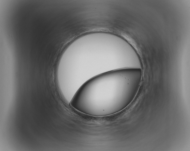 X0000112400201200908141012