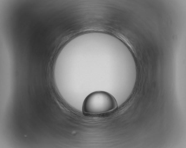X0000112400205200908141012