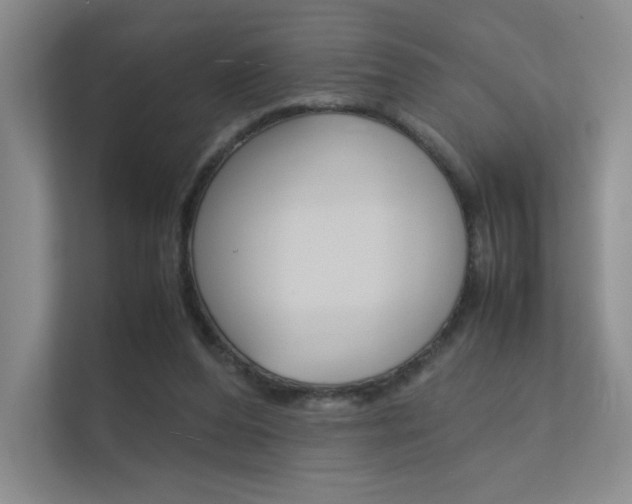 X0000112400208200908141012