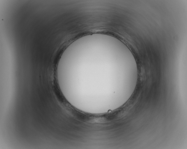 X0000112400210200908141012