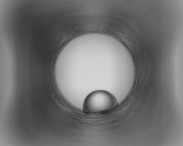 X0000112400215200908141012