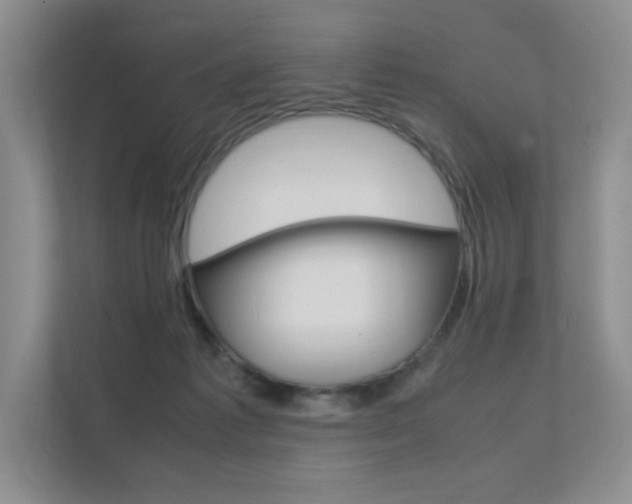X0000112400221200908141012