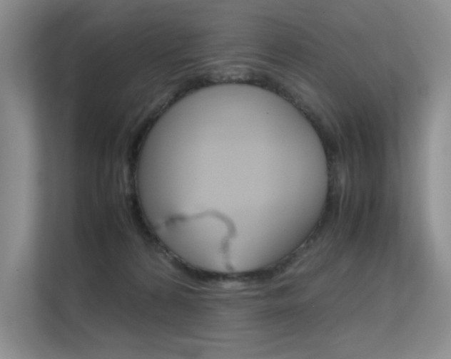 X0000112400224200908141012