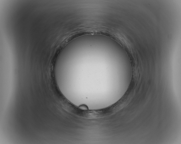 X0000112400229200908141011