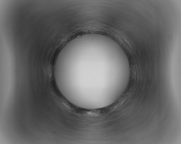 X0000112400232200908141011