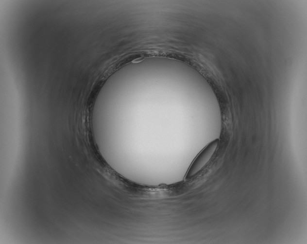 X0000112400233200908141011