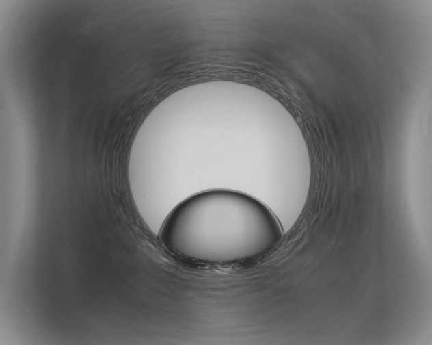 X0000112400235200908141011
