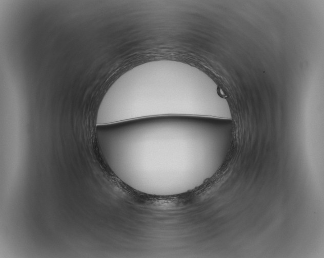 X0000112400236200908141011