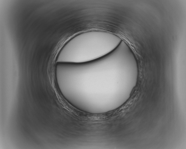 X0000112400241200908141011