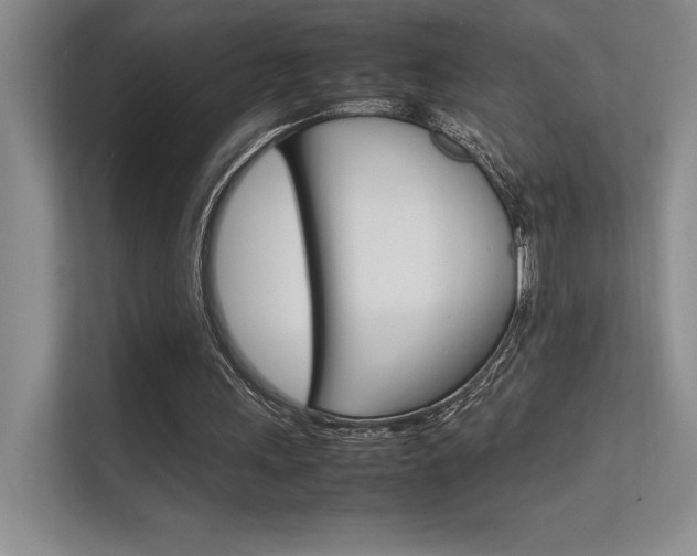X0000112400243200908141011