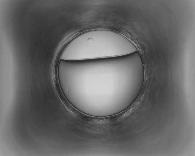 X0000112400245200908141011