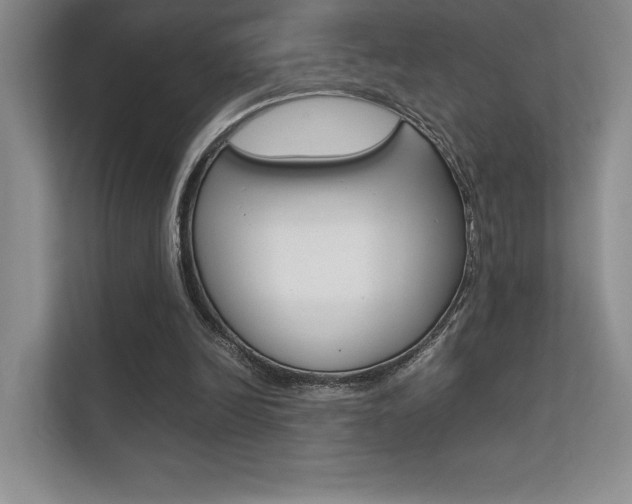 X0000112400246200908141011