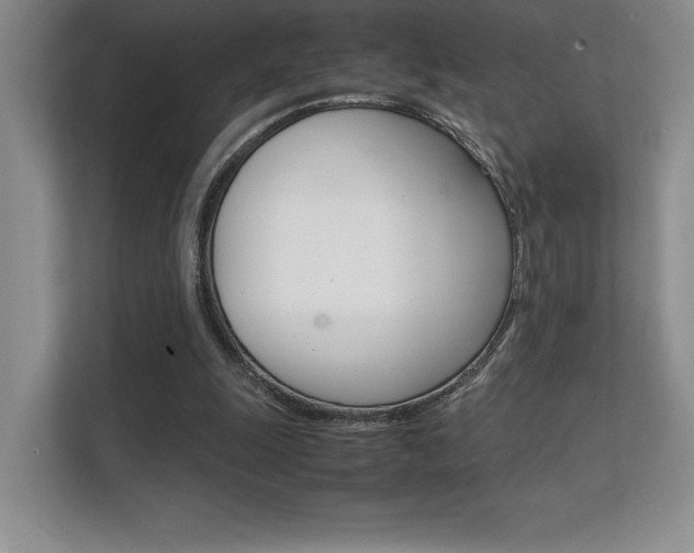 X0000112400247200908141011