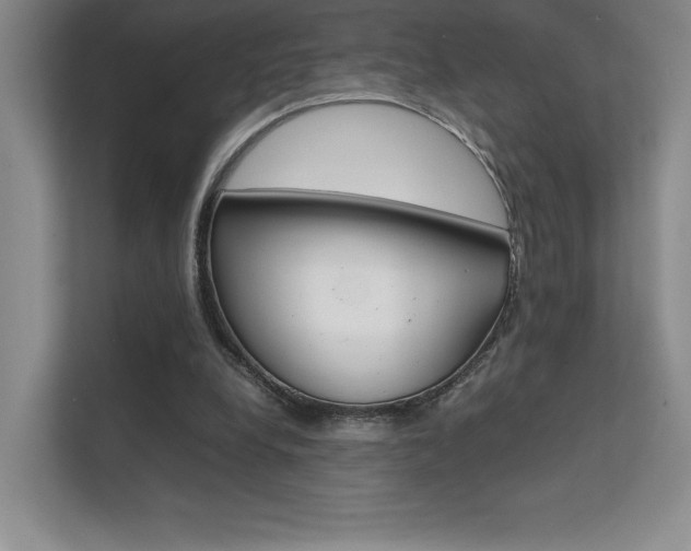 X0000112400248200908141011