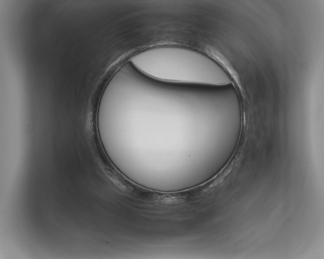 X0000112400249200908141011