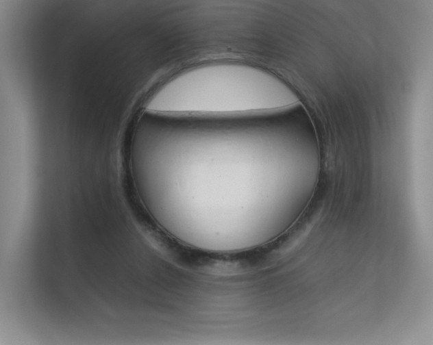 X0000112400256200908141011