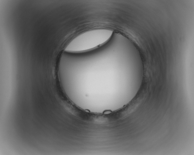 X0000112400258200908141011