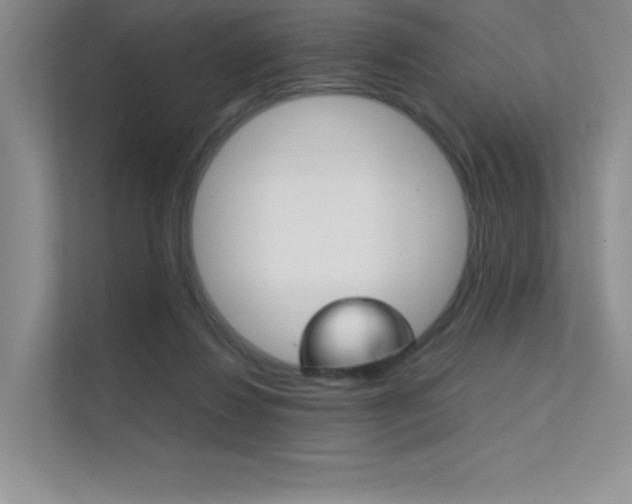 X0000112400260200908141011