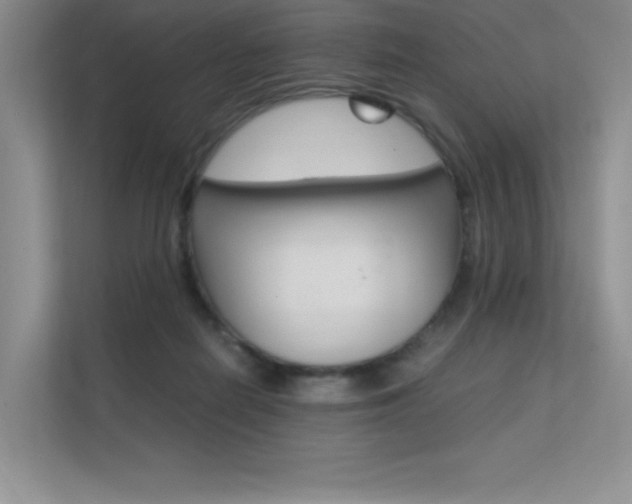 X0000112400266200908141011