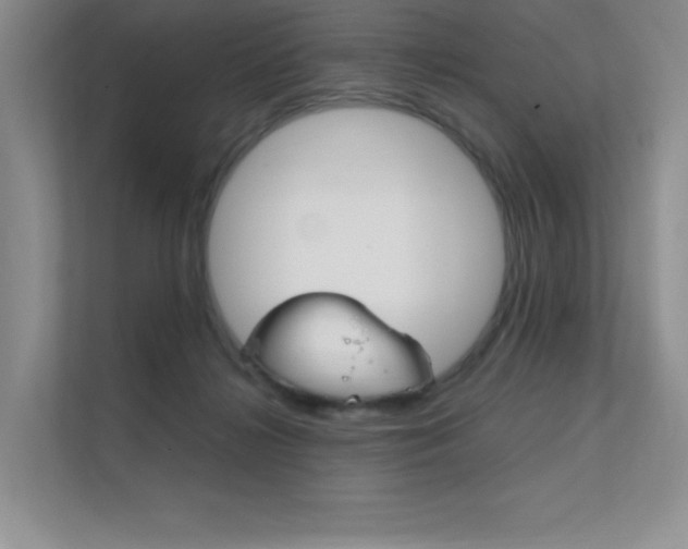 X0000112400268200908141011