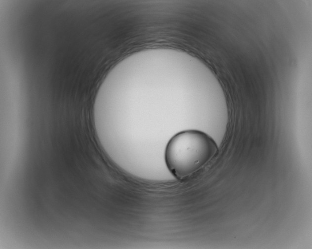 X0000112400272200908141011