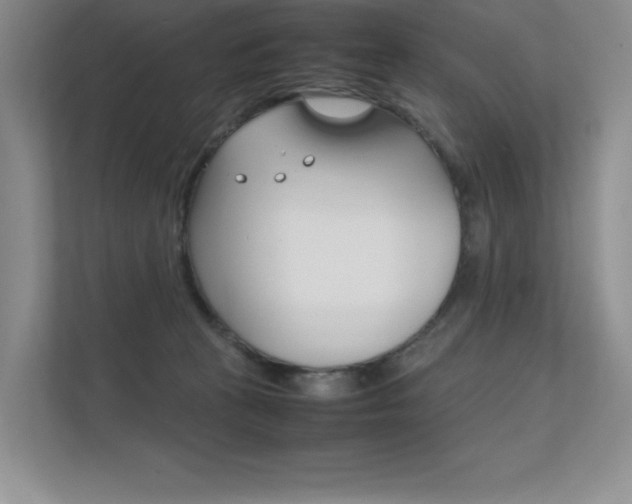 X0000112400273200908141011