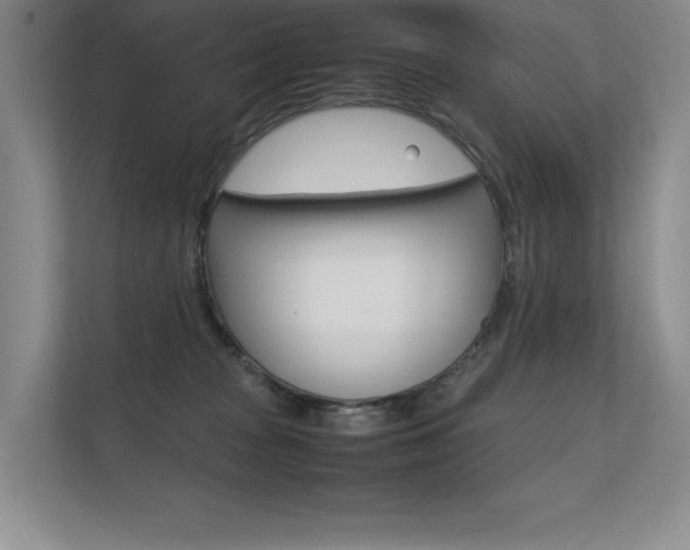 X0000112400277200908141011