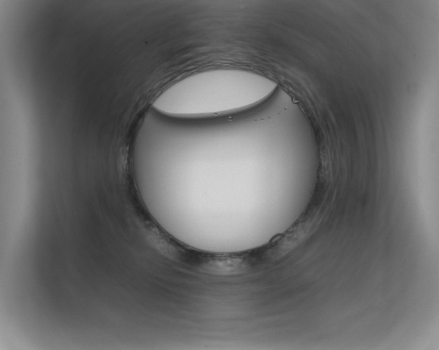 X0000112400278200908141011