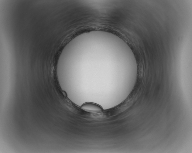 X0000112400279200908141011