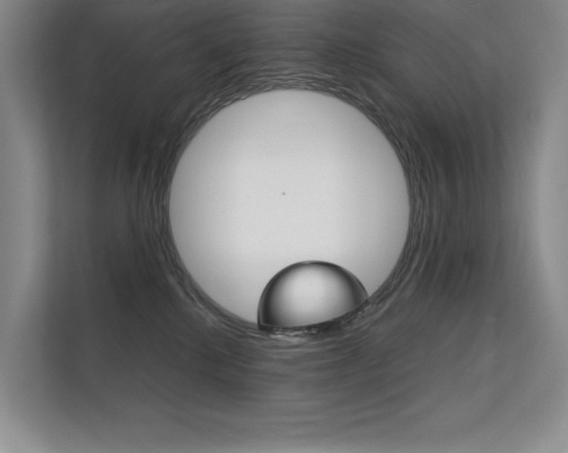 X0000112400280200908141011