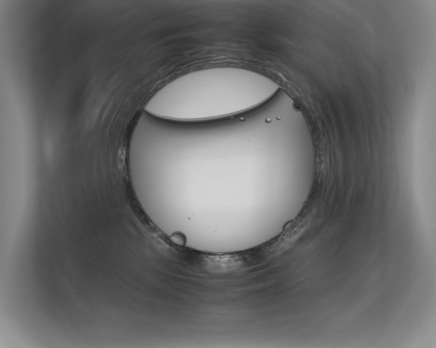 X0000112400281200908141011